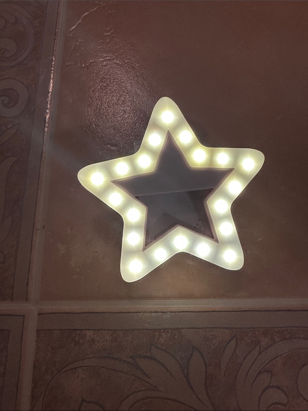 Star Clip On Selfie Light